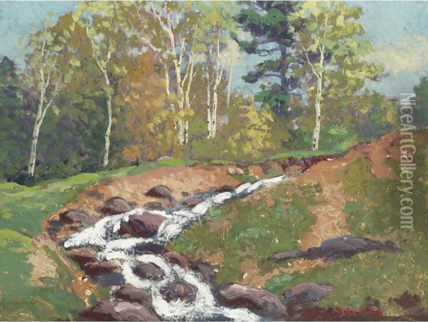 Rushing Stream Oil Painting - Franz Hans Johnston
