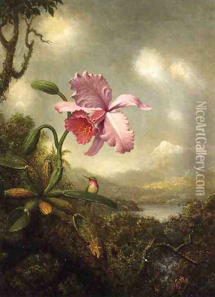 Hummingbird And Orchid Sun Breaking Through The Clouds Oil Painting - Martin Johnson Heade