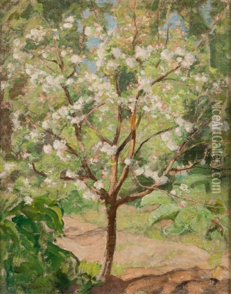 Apple Tree In Blossom Oil Painting - Pekka Halonen