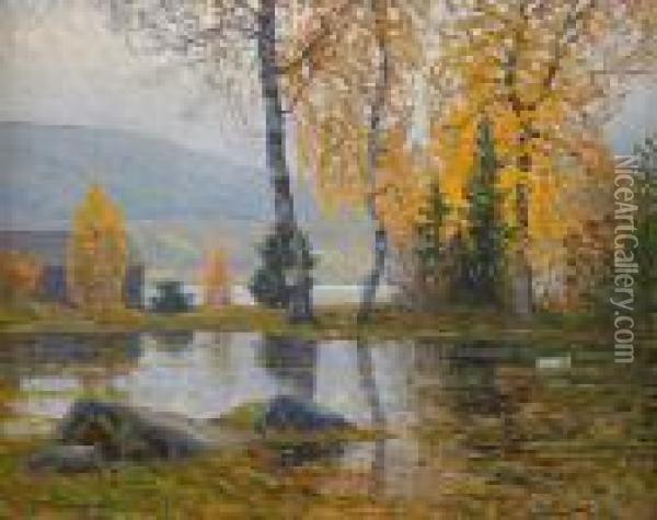 Sjolandskap Med Bjorkar I Hostfarger Oil Painting - Carl August Johansson