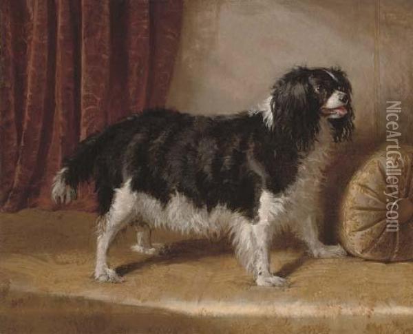 A Spaniel On The Divan Oil Painting - Samuel John Carter