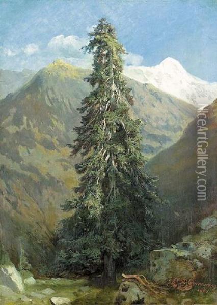 Tannenbaum Im Gebirge. Oil Painting - Friedrich Zimmermann