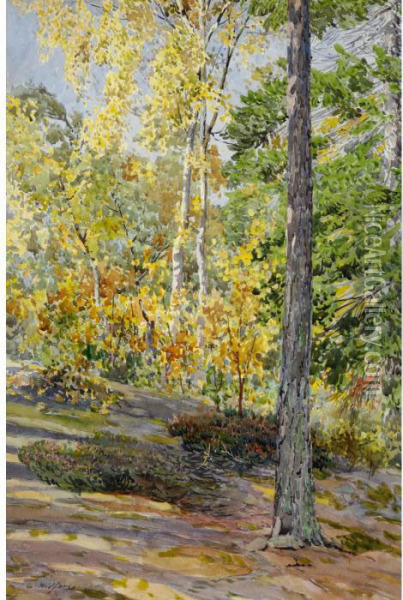 Forest Landscape Oil Painting - Gunnar M. Widforss