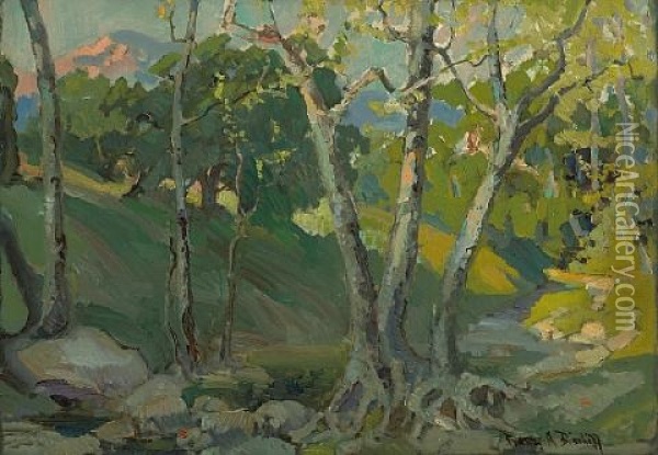 Stream In The Woods Oil Painting - Franz Arthur Bischoff