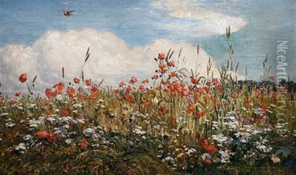 Field Of Poppies Oil Painting - Walter Field