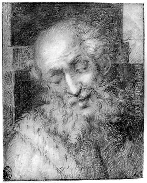 The head of a bearded old man Oil Painting - Camillo Procaccini