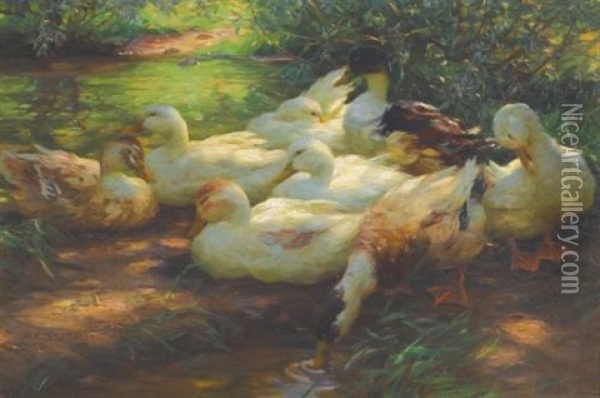 Enten Am Flussufer (ducks On The Riverbank) Oil Painting - Alexander Max Koester