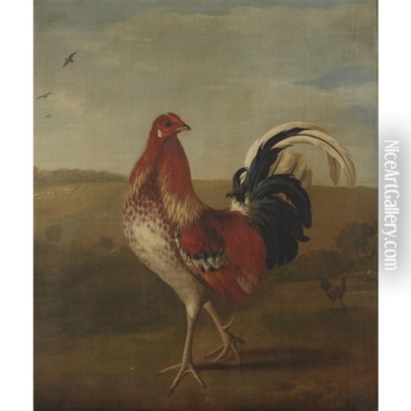 Rooster In A Landscape Oil Painting - Pieter Casteels III