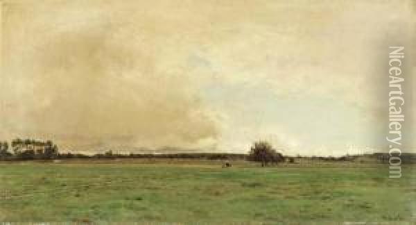 An Expansive Meadow
Oil On Canvas Oil Painting - Victor-Jean-Baptiste-Barthelemy Binet