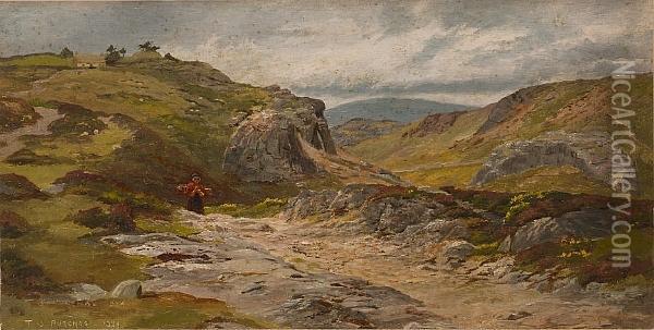 Kilmacanogue, Co. Wicklow Oil Painting - Thomas James Purchas