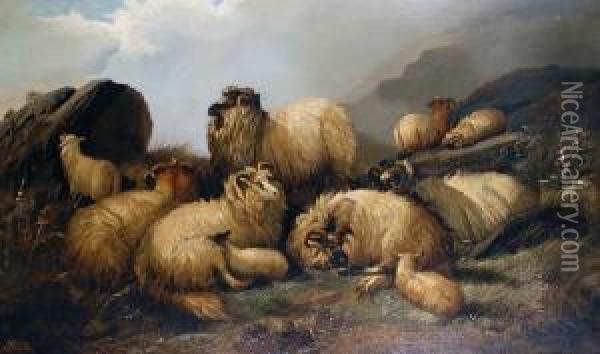 Sheep In A Landscape Oil Painting - Alfred Morris