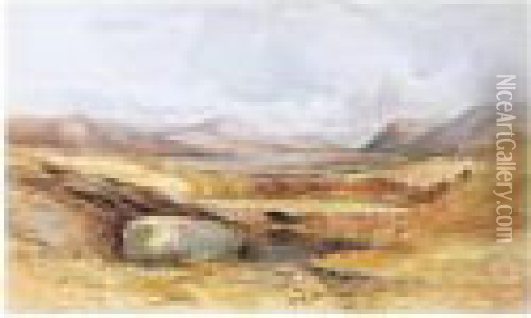 Vale Of Conway, North Wales Oil Painting - William James Muller