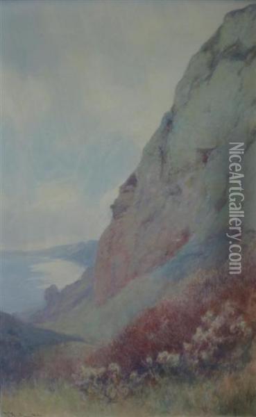 Traveller's Joy, Sidmouth Bay, East Devon Oil Painting - John White