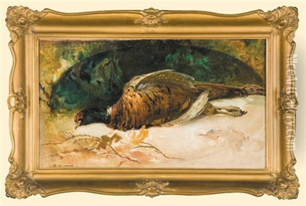 Pheasant Oil Painting - Apoloniusz Kedzierski