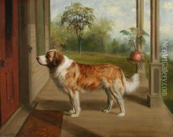 St. Bernard On A Front Porch Oil Painting - Sylvester Shiley