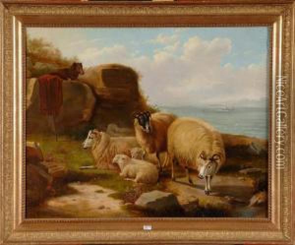 Moutons Au Bord De La Mer Oil Painting - Jacob Van Stry