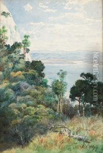 Young Nicks Head, Poverty Bay, Gisborne, New Zealand Oil Painting - Charles Nathaniel Worsley