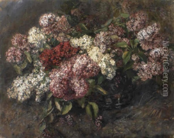 Fliederzweige In Einem Weidenkorb Oil Painting - Anna Peters