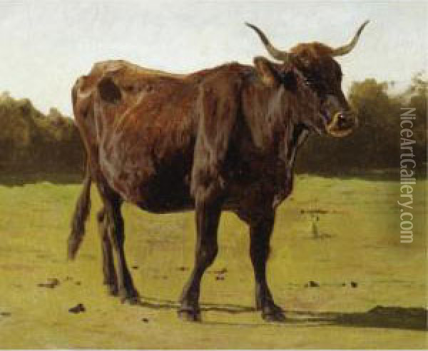 A Cow Grazing In A Meadow Oil Painting - Auguste Bonheur
