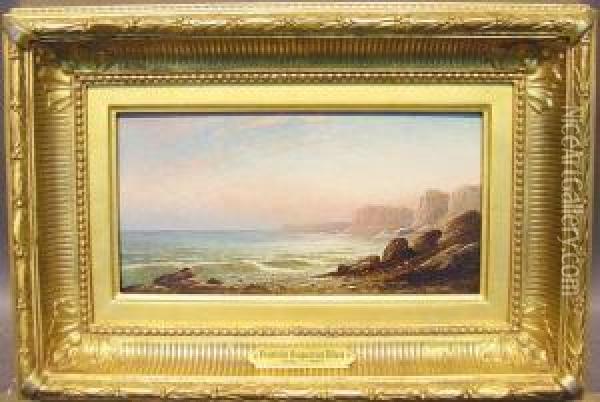 Coastal Cliffs Oil Painting - Francis Augustus Silva