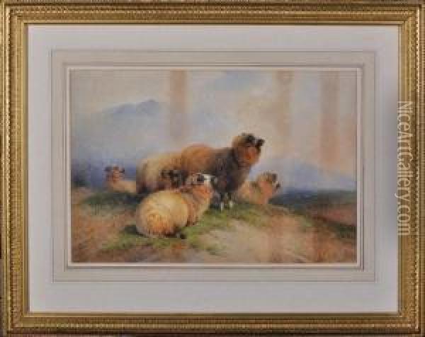 Sheep On A Hillside Oil Painting - Frederick E. Valter