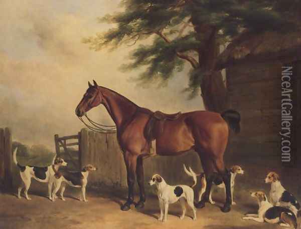 A Chestnut hunter with the Badminton Hounds Oil Painting - William Barraud