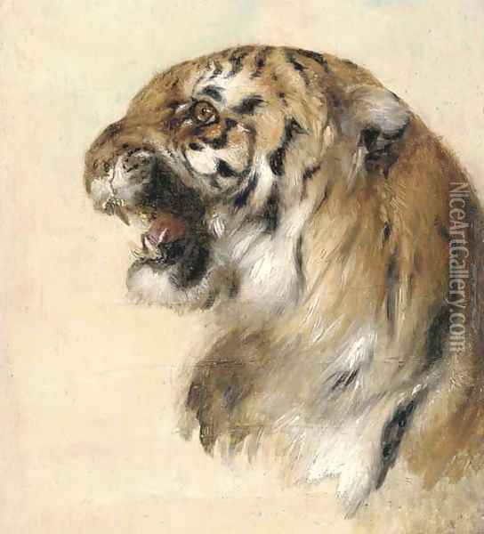 A Bengal tiger 2 Oil Painting - William Huggins