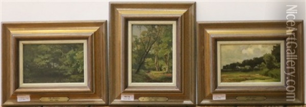 Landschapje (2x) Oil Painting - Jan Willem Van Borselen