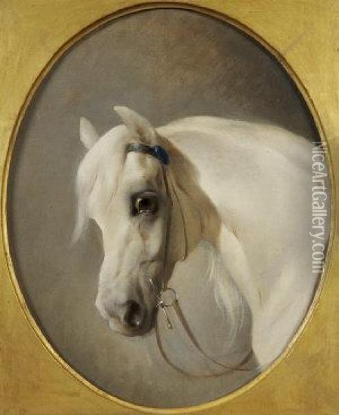 Studies Of Horses Heads - Bay And Grey Oil Painting - John Frederick Herring Snr