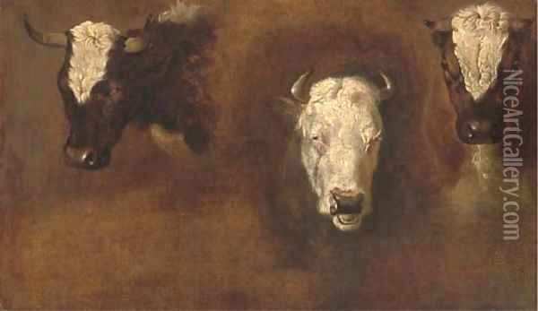 Three studies of bulls' heads Oil Painting - Simon van der Does