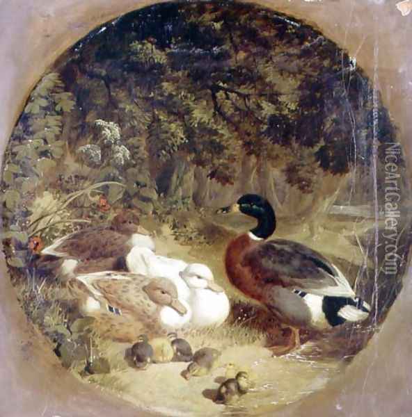 Ducks and Ducklings in a Wooded River Landscape Oil Painting - John Frederick Herring Snr