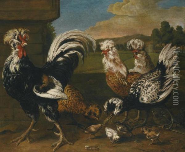 Polish Fowl And Their Young Oil Painting - Jacomo (or Victor, Jacobus) Victors