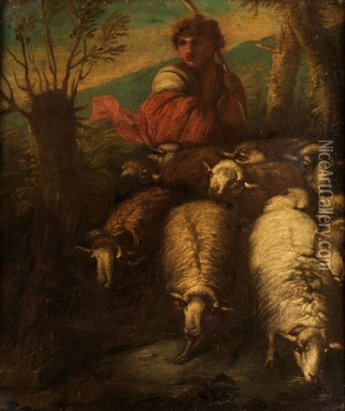 Junger Hirte Mit Seinen Schafen Oil Painting - Giovanni Benedetto Castiglione