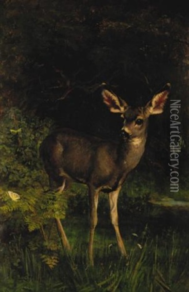 Deer In The Woods Oil Painting - Elizabeth Strong