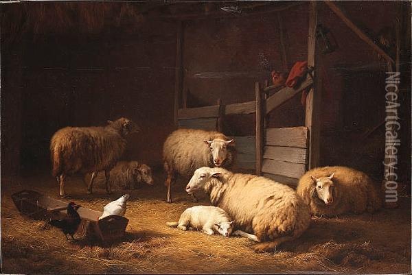 Sheep In A Stable Interior Oil Painting - Eugene Joseph Verboeckhoven