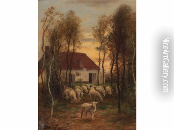 Sheep By Home Oil Painting - William E. Plimpton