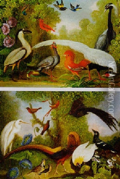 Oiseaux Exotiques Dans Un Paysage Oil Painting - Marmaduke Cradock