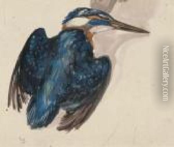 Kingfisher Oil Painting - Theodorus Van Hoytema