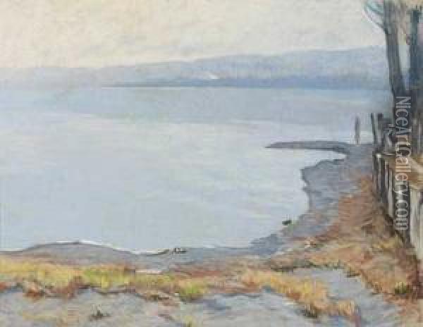 Blick Auf Eine Bucht Oil Painting - Albert Stagura