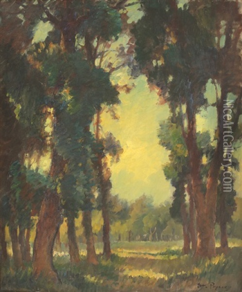 Forrest Glade Oil Painting - Stefan Popescu