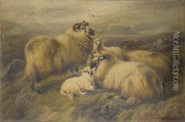 Pecore Sulle Highlands Scozzesi Oil Painting - Robert Watson