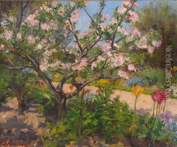 Apple Blossom In Sunlight Oil Painting - Henry Somers Kortright
