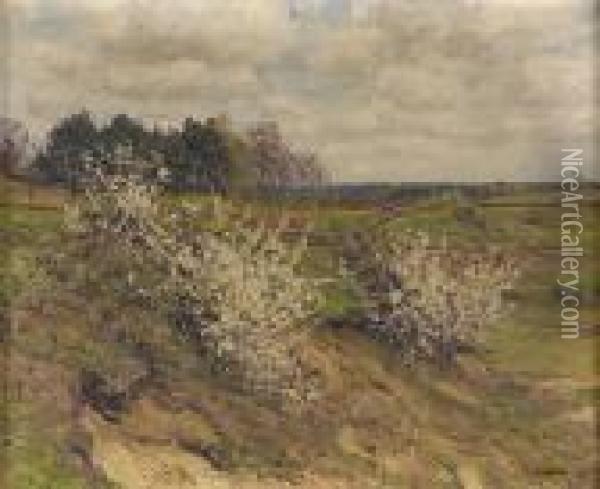 Bluhender Schlehdorn. Oil Painting - Wilhelm Fritzel