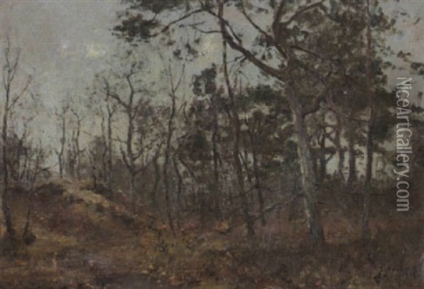 Sanddune Im Wedeler Wald Oil Painting - Rudolf Hoeckner