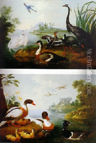 Waterfowl In A Landscape Oil Painting - Pieter Casteels III