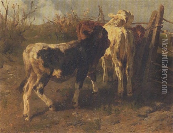Drei Kalber Oil Painting - Anton Braith