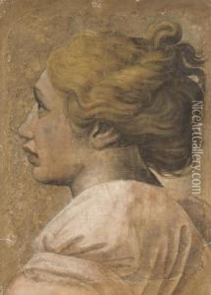 Head Of A Youth In Profile To The Left: Cartoon For A Tapestry Oil Painting - Raphael (Raffaello Sanzio of Urbino)