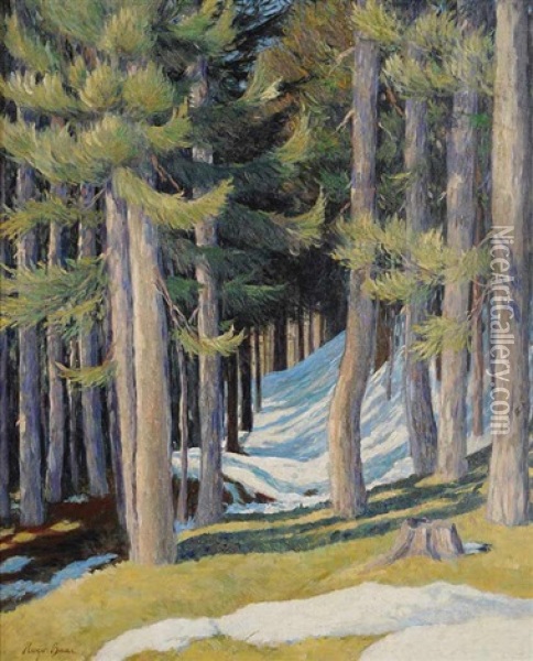 A Forest In Winter Oil Painting - Hugo Baar