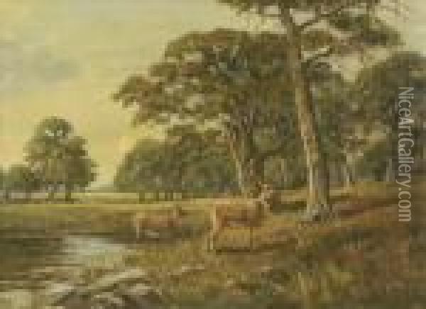 Deer By Aparkland Pool Oil Painting - Clarence Roe
