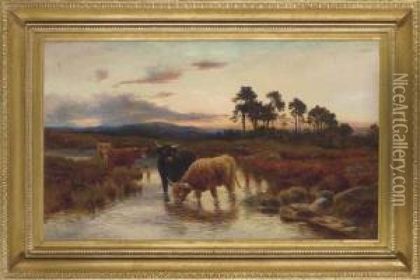 Highland Cattle Watering At Sunset Oil Painting - Peter Graham